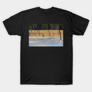 Lodgepole Pines Yellowstone Wyoming T-Shirt